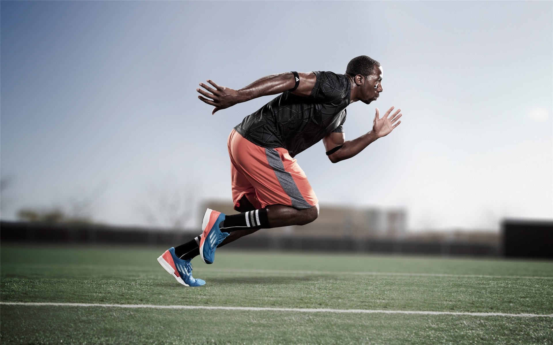 逆境中崛起的“黑马”夺冠之旅,逆袭的黑马是什么意思